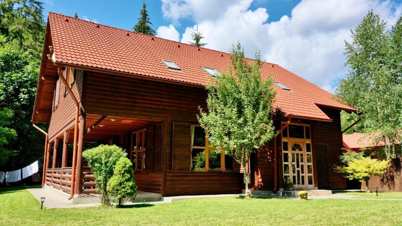 Platan Vendeghaz Villa Izvoare  Eksteriør billede